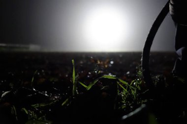 Yapraklar, gras ve yerde bir ip yakın plan olarak projektörlerin altında