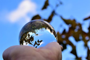 Gökyüzü ve ağaçlar, mavi gökyüzüne ve dallara karşı bir eldeki mercek topunun içinden geçer.