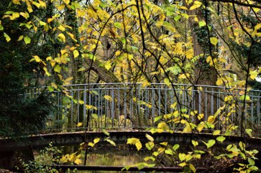 Sonbaharda ağaçlarla çevrili bir parkta küçük bir köprü