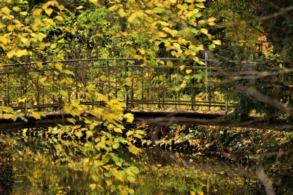 Pequeño puente en un parque rodeado de árboles en otoño — Foto de Stock