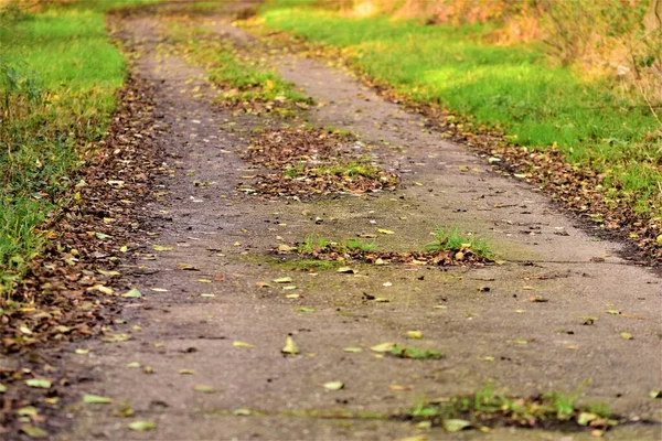 Close up di una piccola strada in cemento — Foto Stock