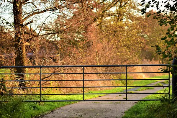 Cancello pascolo blocca una piccola strada di cemento — Foto Stock