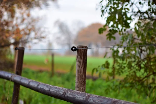 Close-up of a pasture fence made of wooden slats and blue wire — Stock Photo, Image