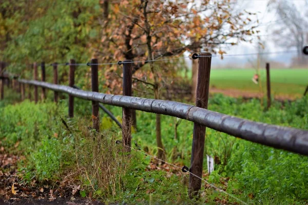 A pasture fence made of wooden slats and blue wire — Stock Photo, Image