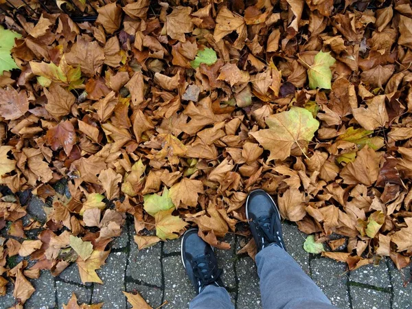 Widok z góry jesiennych liści w żółtym brązowym i dwóch stóp w szarych butach — Zdjęcie stockowe