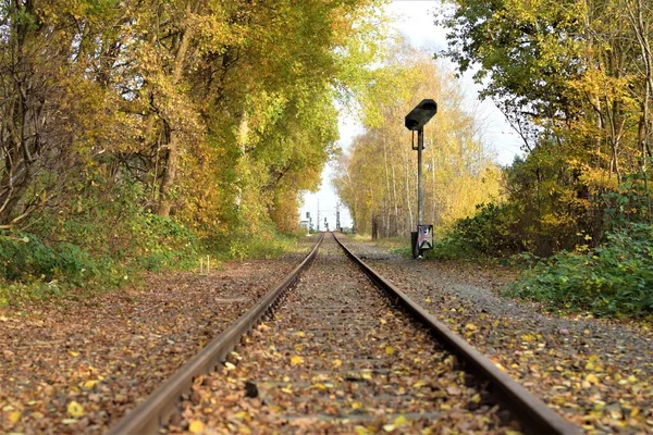 秋天，两边都有树木的铁路轨道 — 图库照片
