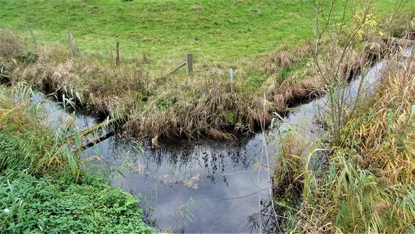 Bifurcación de foso en una reserva natural con pastos altos al lado — Foto de Stock