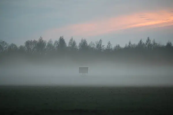 Landscape in the evening with fog and sunset — Stock Photo, Image