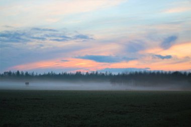 Akşamları sis ve gün batımıyla manzara