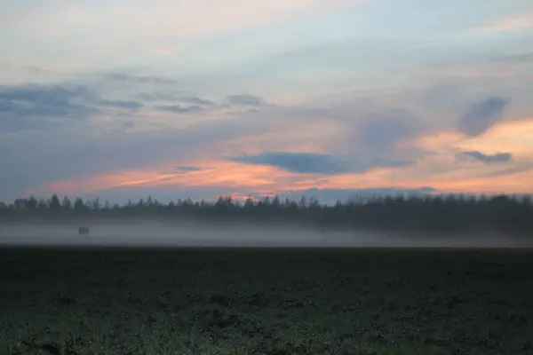 Landscape in the evening with fog and sunset — Stock Photo, Image