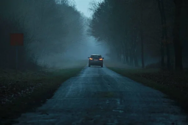 Asphalt road after the rain in the evening in the fog — Stock Photo, Image