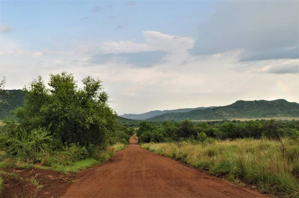 Un chemin sablonneux dans la brousse africaine — Photo