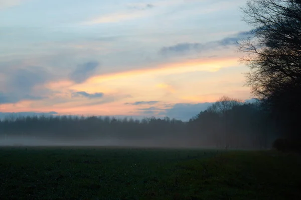 Landscape in the evening with fog and sunset — Stock Photo, Image