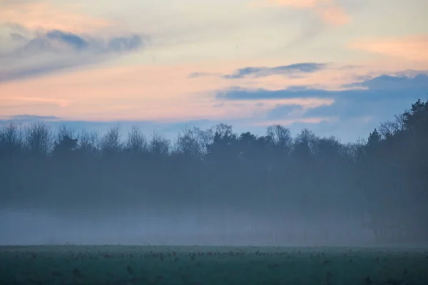 Landschap in de avond met mist en zonsondergang — Stockfoto