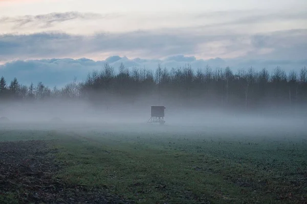 Landscape with a hunter high seat in the evening with fog and sunset — Stock Photo, Image