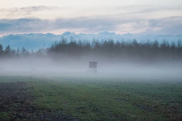 Landscape with a hunter high seat in the evening with fog and sunset — Stock Photo, Image