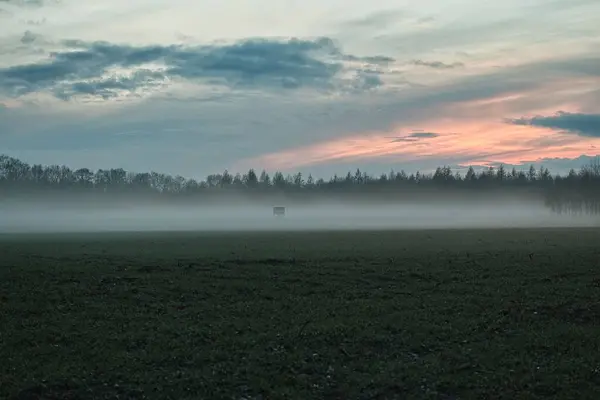 Landscape with a hunter high seat in the evening with fog and sunset — Stock Photo, Image