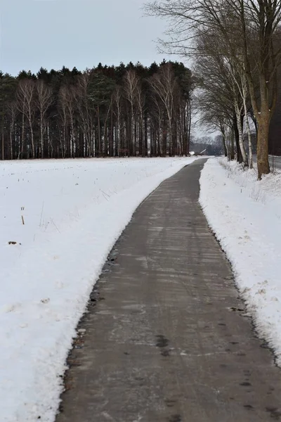 Bicicleta e trilha na área rural nevada Imagens De Bancos De Imagens Sem Royalties