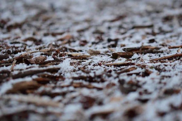 地面上的雪白木片作为不同焦点的特写镜头 — 图库照片