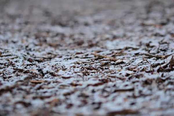 Yerdeki karlı odun parçaları farklı odaklı yakın plan çekimleri gibi. — Stok fotoğraf
