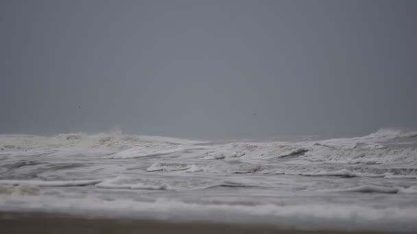 Surfa på en strand i Nordsjön en molnig dag — Stockvideo