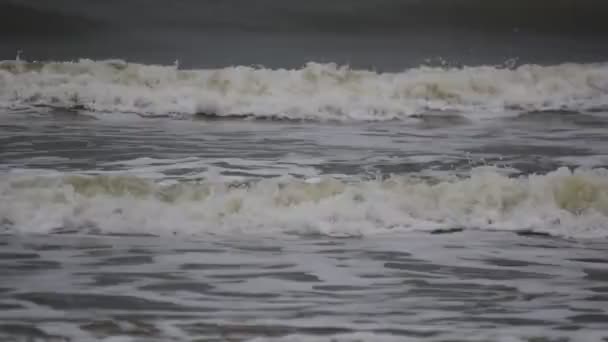 Surfez sur une plage de la mer du Nord par une journée nuageuse — Video