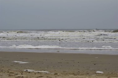 Fırtınalı bir günde Kuzey Denizi sahilinde sörf yapmak