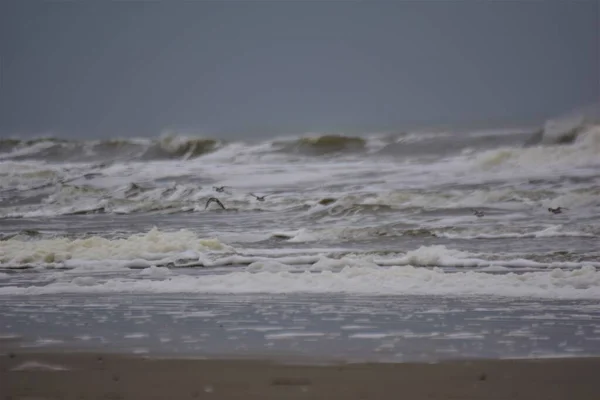 暴风雨中在北海的海滩上冲浪 — 图库照片