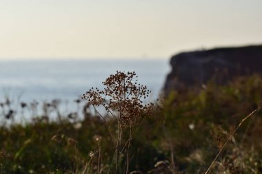 Akşam güneşinde kostüm çizgisinde kırmızı uçurum