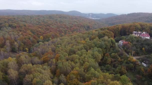 Luftaufnahme Einer Drohne Die Über Den Wald Fliegt — Stockvideo