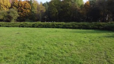 Parkta uçan bir İHA 'nın hava görüntüsü.