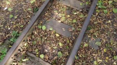 Dar ölçülü demiryolu. Demiryolu yolu. Demiryolu ve demiryolu bağlantısı.