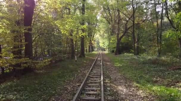 Ferrovia Bitola Estreita Estrada Ferroviária Rails Laço Ferroviário — Vídeo de Stock