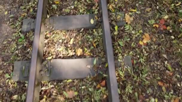 Chemin Fer Voie Étroite Chemin Fer Rails Traverses Chemin Fer — Video