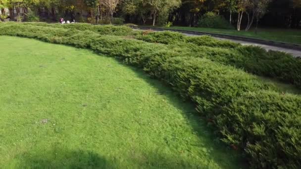 Vista Aérea Drone Voando Sobre Parque — Vídeo de Stock