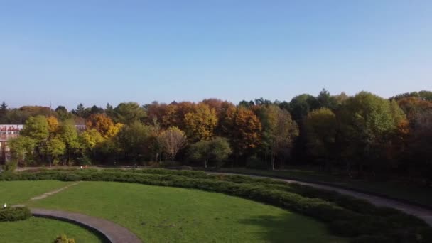 Aerial View Drone Flying Park — Stock Video
