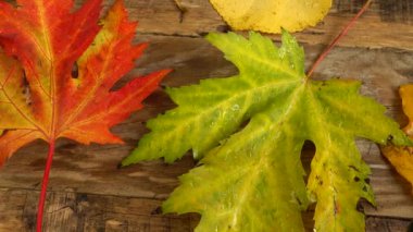 Tahta bir tahtanın üzerinde sonbahar yaprakları.