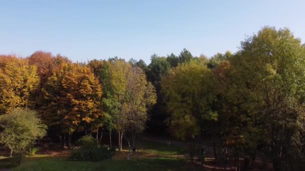 Letecký Pohled Dron Letící Nad Parkem — Stock video