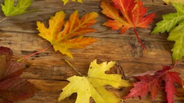 Tahta bir tahtanın üzerinde sonbahar yaprakları.