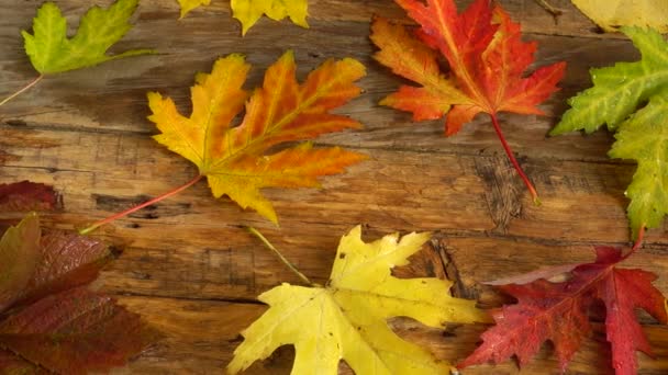 Hojas Otoño Sobre Tablero Vintage Madera — Vídeos de Stock