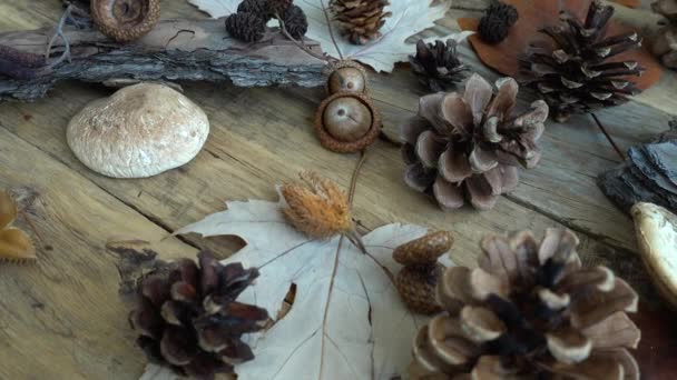 Jesienna Martwa Natura Drewnianej Desce Vintage — Wideo stockowe
