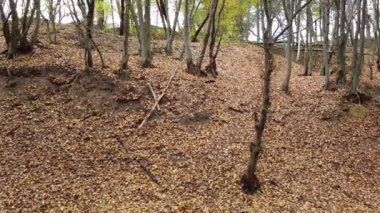 Kasım 'da sonbahar parkı.
