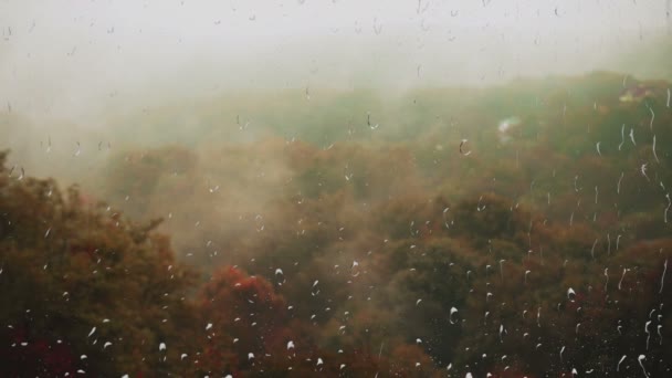 Lluvia Niebla Sobre Bosque Vista Desde Ventana Gotas Lluvia Vaso — Vídeo de stock
