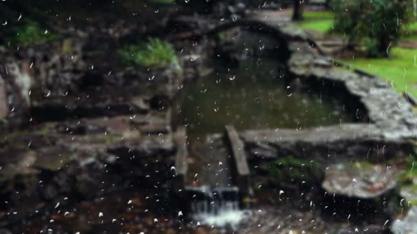 Corriente Parque Durante Lluvia Vista Desde Ventana Gotas Lluvia Vaso — Vídeo de stock