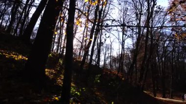 Bir sonbahar parkında çekim yapmak.