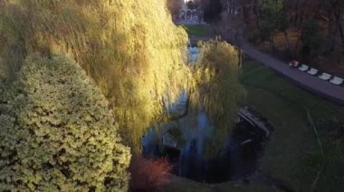 Sonbahar parkında gölet.