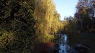 Sonbahar parkında gölet.