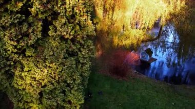 Sonbahar parkında gölet.