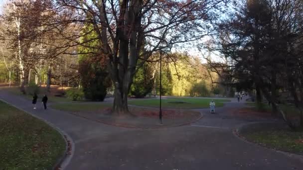 Зйомки Осіннього Парку — стокове відео