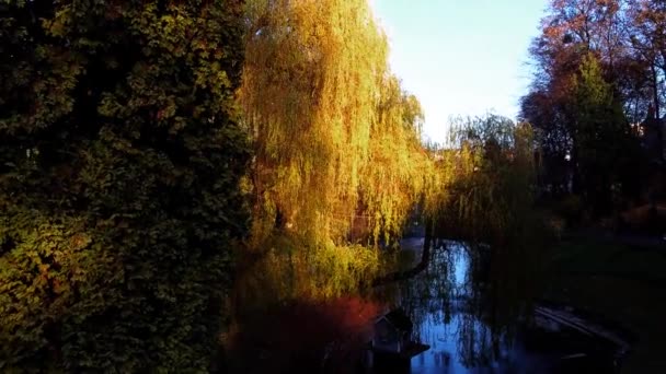 Teich Herbstpark — Stockvideo